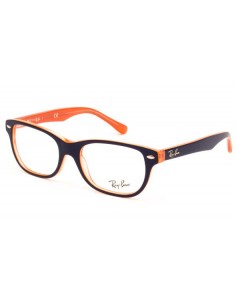 RAY BAN 1528
