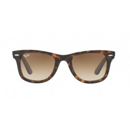 RAY-BAN WAYFARER PLANA 2